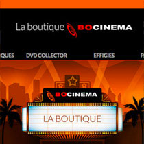 création de site internet la boutique hocinema