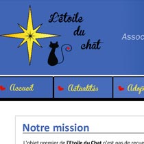 création de site internet de l'Etoile du Chat